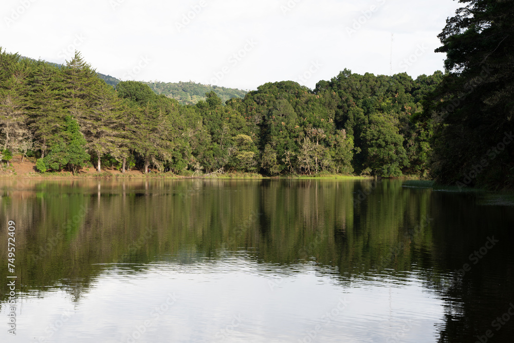 Beautiful panorama view of the calm lake in Costa Rica - Don Manuel Lake, and a baby black duck Beautiful panorama view of the calm lake in Costa Rica - Don Manuel Lake, and a baby black duck