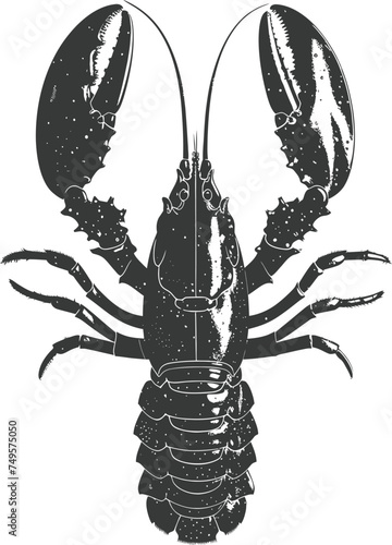 Silhouette lobster black color only