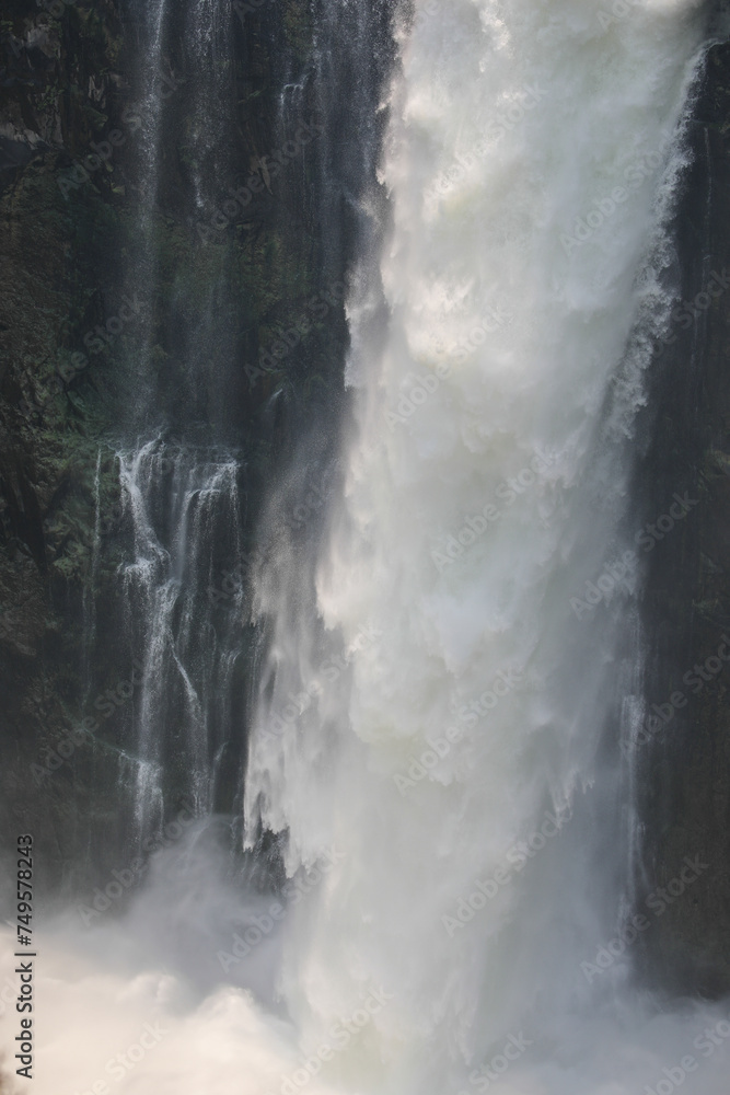 Water flowing down the cliffs of Victoria Falls - obrazy, fototapety, plakaty 