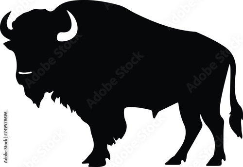 buffalo silhouette photo
