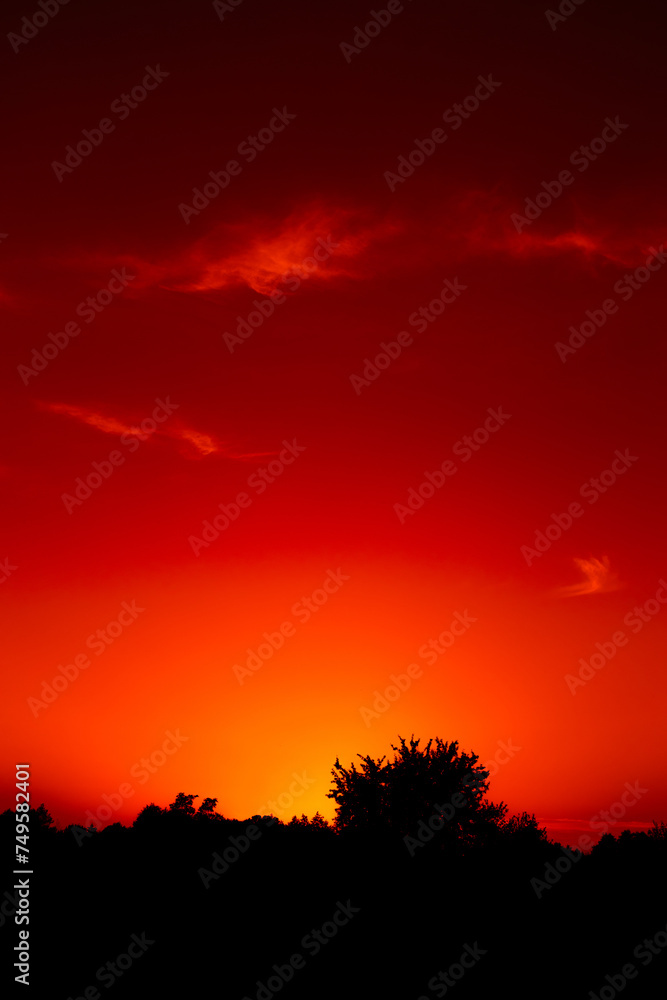 Fototapeta premium The sky at sunset, evening time
