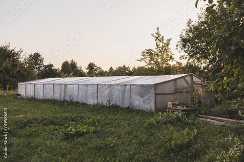 Greenhouse for growing vegetables and fruits and agricultural products