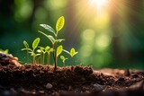 Green Business Growth: Planting the Seeds of Success with Digital Analysis and Progress