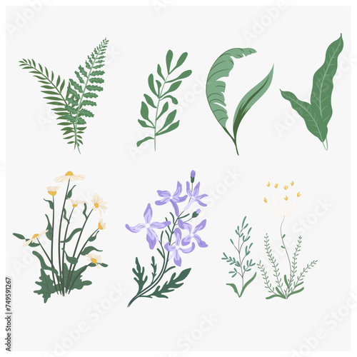 Plants Green leaf and Flowers background Modern Vector