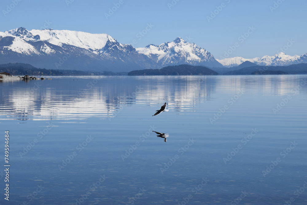 A seabird is flying over a calm water in a beautiful landscape A seabird is flying over a calm water in a beautiful landscape