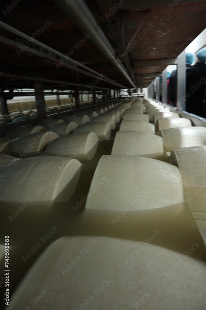 Fototapeta premium dairy factory