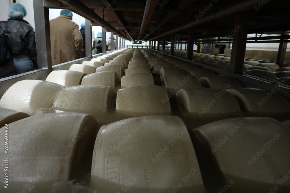 Fototapeta premium Dairy factory