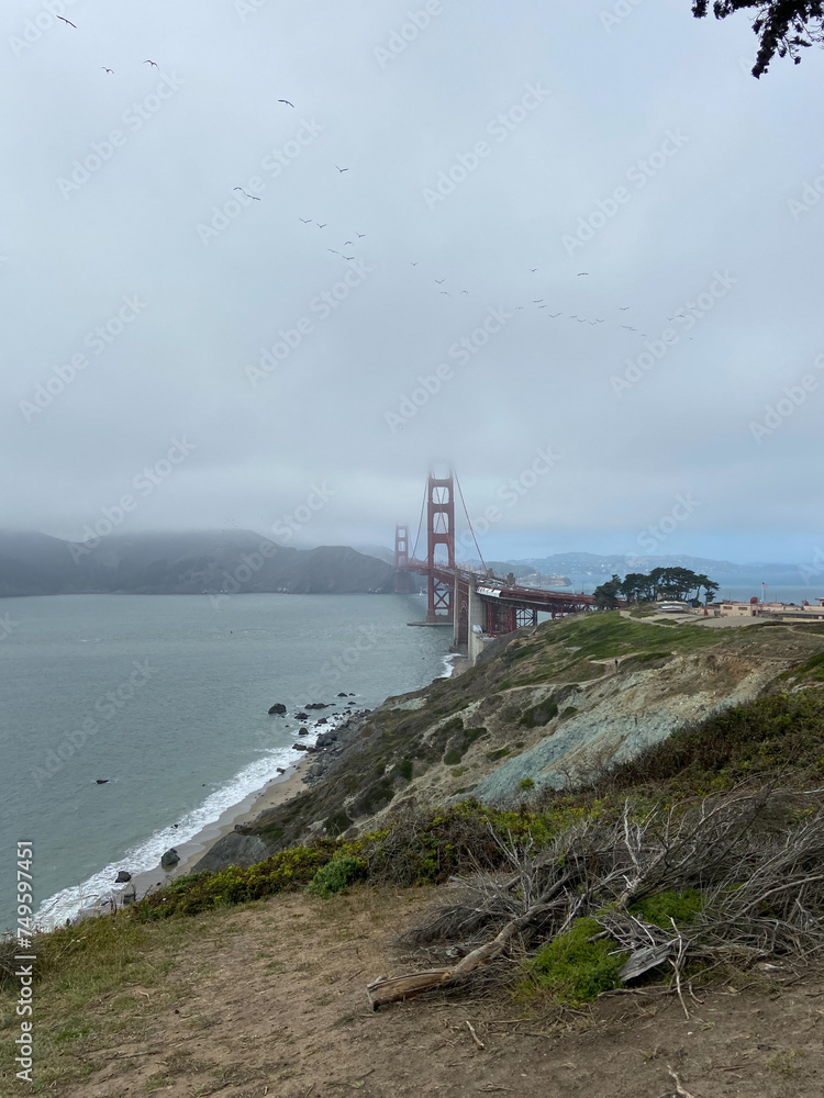 View of the Golden Gate Bridge from the Battery Cranston overlook in San Francisco, California, USA. View of the Golden Gate Bridge from the Battery Cranston overlook in San Francisco, California, USA.