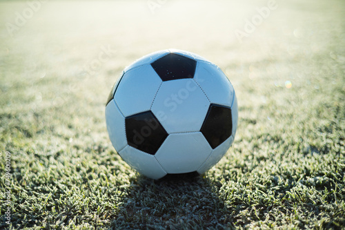 White soccer ball lying on the grass at football pitch