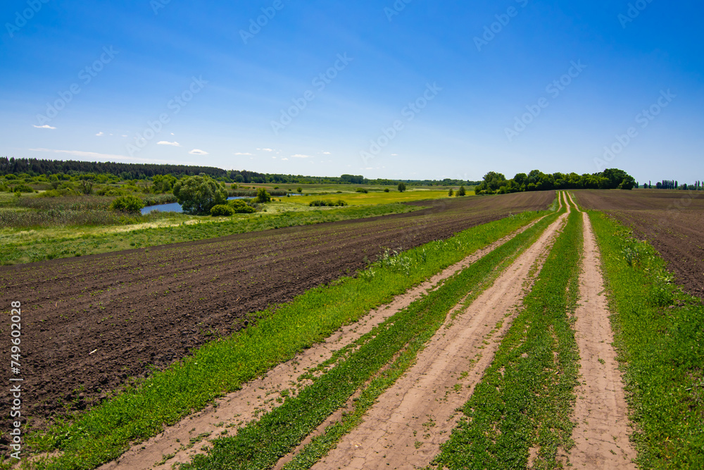 Dirt road through the field with black soil. Spring landscape with farm fields