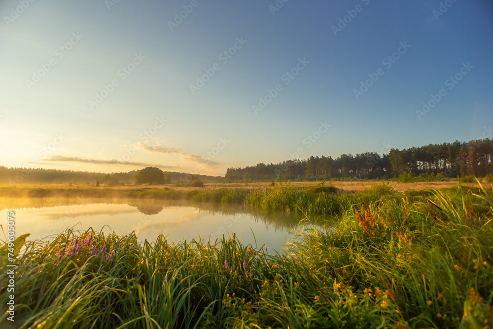 Fototapeta premium Landscape with lake and tall grasses on the background of sunrise and sky with clouds