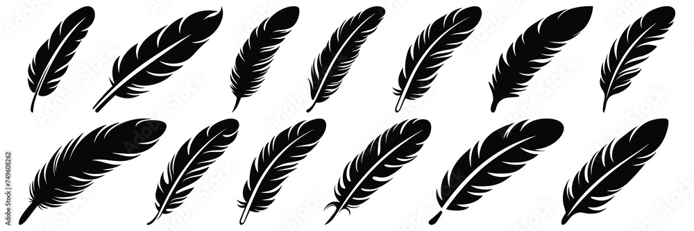 Quill feather silhouettes set, large pack of vector silhouette design, isolated white background Quill feather silhouettes set, large pack of vector silhouette design, isolated white background