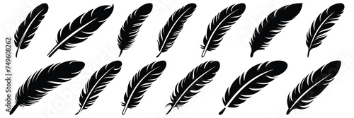 Quill feather silhouettes set, large pack of vector silhouette design, isolated white background
