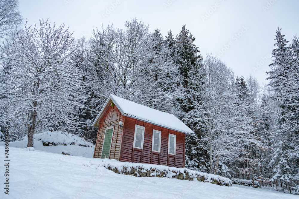 house in the woods