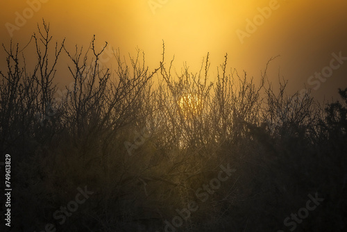 Dusty sunset at Big Bend National Park