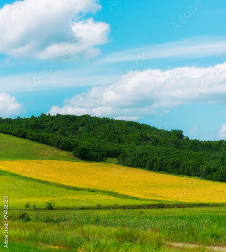 field with blue sky