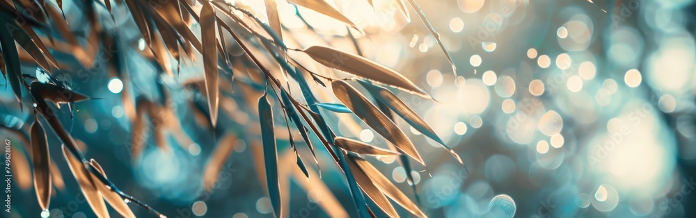 Water Droplets on Close-Up Plant - obrazy, fototapety, plakaty 