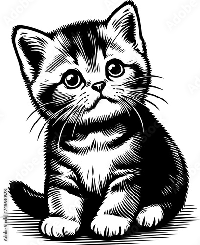 Cute little kitten cartoon style black outline vector illustration. Coloring book.