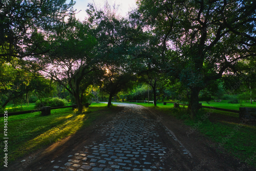 Obraz premium Verano en el parque