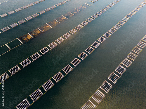 Aerial view of oyster farming in the Netherlands