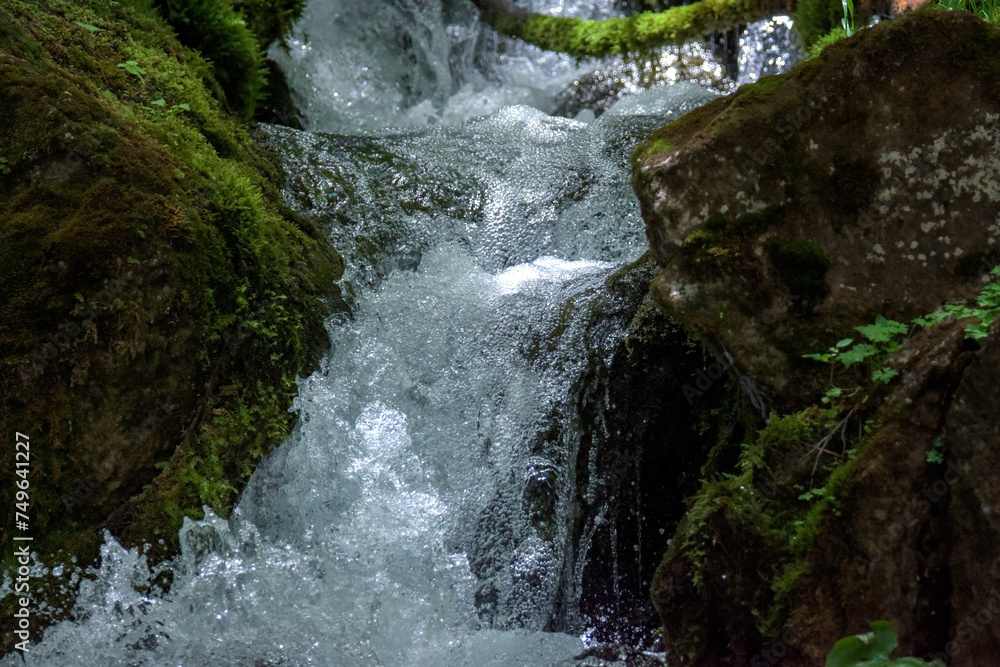 Naklejka premium waterfall in the forest