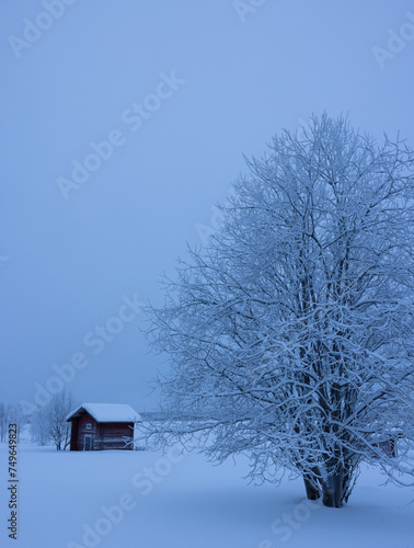 Hut in the forest grown over with frost in deep Winter in northern Finland, above the arctic circle, in Muonio. © Reto Ammann