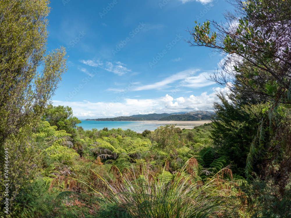 Marahau : Abel Tasman National Park stunning coastal landscape of featuring golden beaches, crystal-clear waters, and lush native bush
