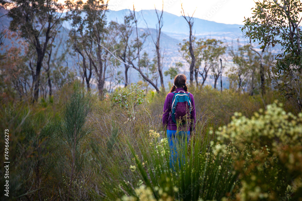 backpacker walking through the bush in moogerah peaks national park, south east queensland, australia backpacker walking through the bush in moogerah peaks national park, south east queensland, australia