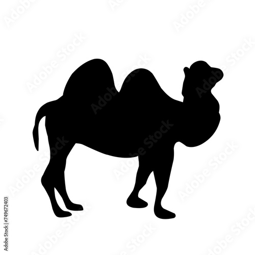 Camel Silhouette Vector