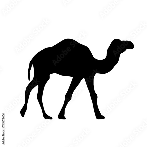 Camel Silhouette Vector