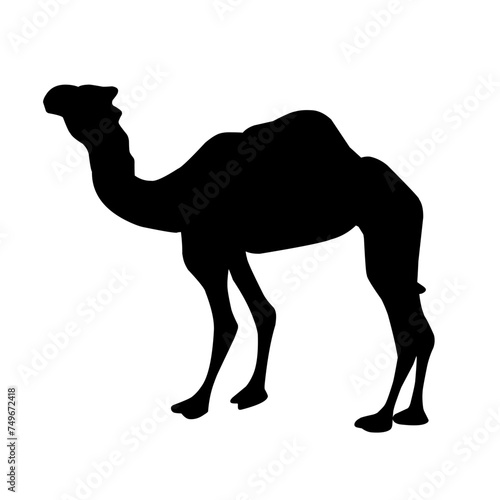 Camel Silhouette Vector