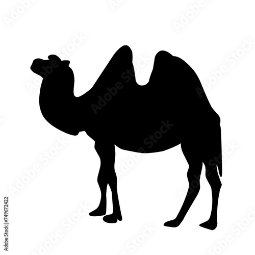 Camel Silhouette Vector