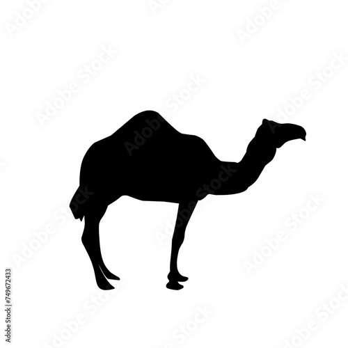 Camel Silhouette Vector