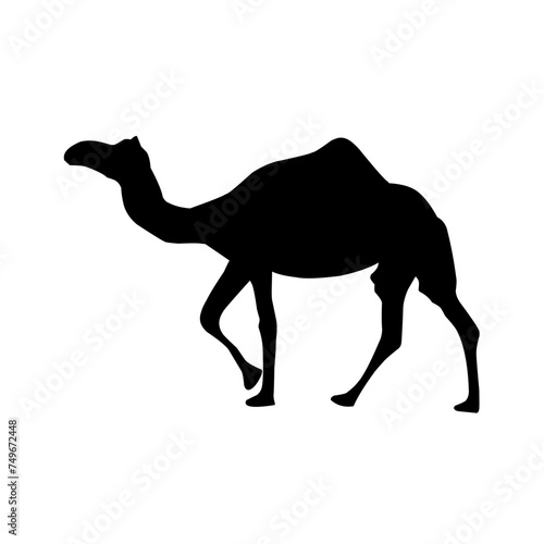 Camel Silhouette Vector