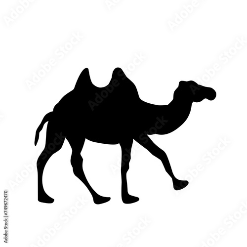 Camel Silhouette Vector