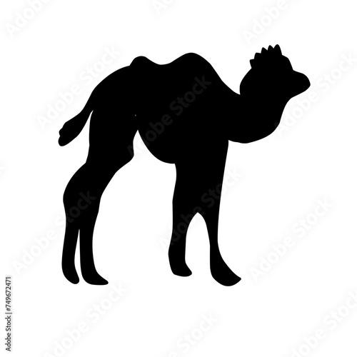 Camel Silhouette Vector