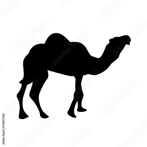 Camel Silhouette Vector