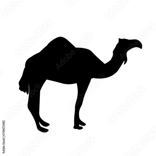 Camel Silhouette Vector