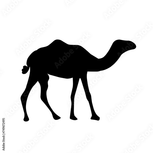 Camel Silhouette Vector