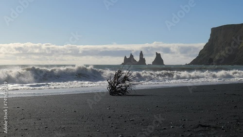 Drift Wood and Reynisdrangar at Black Sand Beach in Vik in Southern Iceland