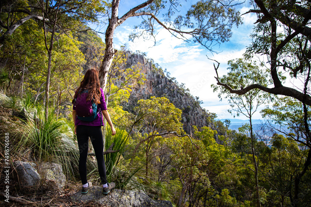 brave fit girl hiking through the bush to the top of mount maroon; rock scrambling in mount barney national park near brisbane, queensland, australia brave fit girl hiking through the bush to the top of mount maroon; rock scrambling in mount barney national park near brisbane, queensland, australia
