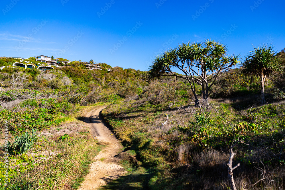 scenic path surrounded with beautiful native plants in noosa national park, famous coastal walk in south east queensland, australia scenic path surrounded with beautiful native plants in noosa national park, famous coastal walk in south east queensland, australia