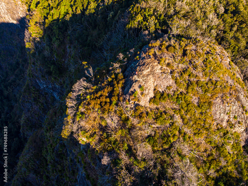 aerial panorama of mountains in main range national park at sunset; view from the area near bare rock, mount mitchell and morgans lookout