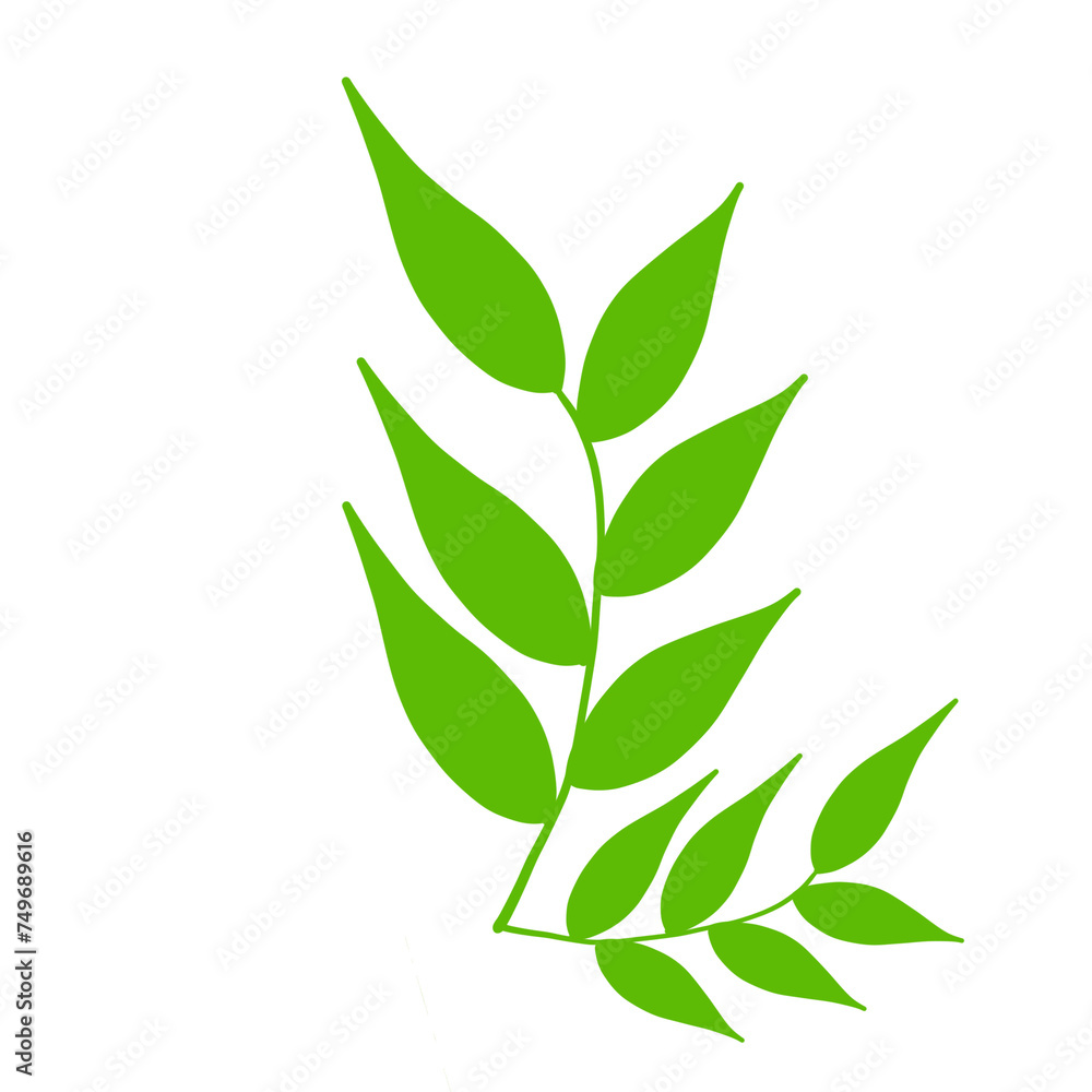 green bamboo leaves