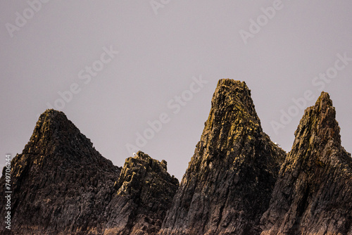 The Teeth of Seal Rocks Beach