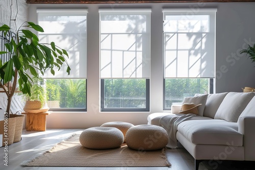Interior roller blinds are installed in the living room, featuring white colored roller shades on the windows. Within the same room, there are also a houseplant and a sofa present. To add to the photo