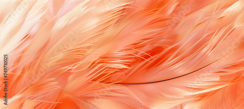 Close-up abstract macro of trendy peach feather texture, apricot fluffy backdrop