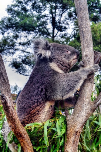 Photography Hobart, Australia