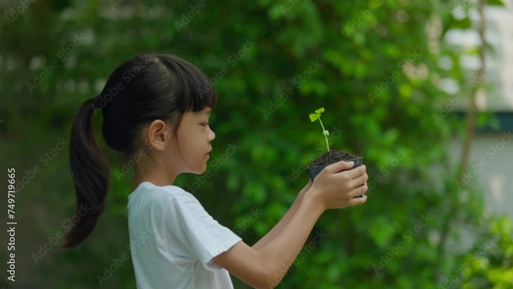 A Thai Asian kid girl, aged 8 to 10 years, has a cute face and a bright smile. She held a pot of seedlings in her hand. trees are going to be planted To care for a sustainable world, Earth Day concept A Thai Asian kid girl, aged 8 to 10 years, has a cute face and a bright smile. She held a pot of seedlings in her hand. trees are going to be planted To care for a sustainable world, Earth Day concept