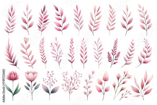 Watercolor illustration material set of pink botanical motifs